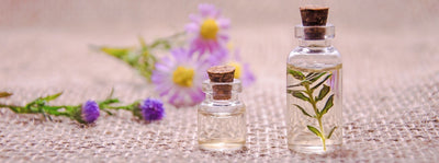 Premium Scents, Botanicals & Aromatherapy: The Latest in Home Care